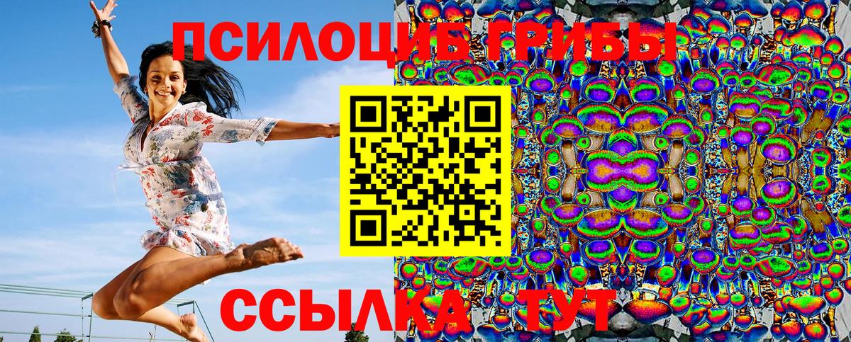 Галлюциногенные грибы мицелий  Псилоцибиновые грибы Psilocybine cubensis  Чапаевск  наркошоп  Вход с VPN 